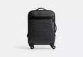 Sleek Signature Carry-On Spinner Luggage